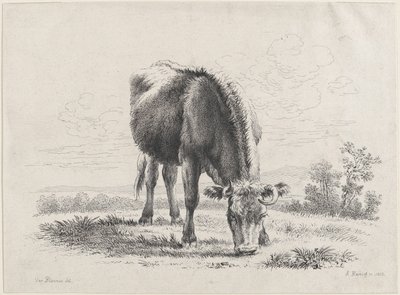 Kogræsning, 1805., 1805. af Adam von Bartsch