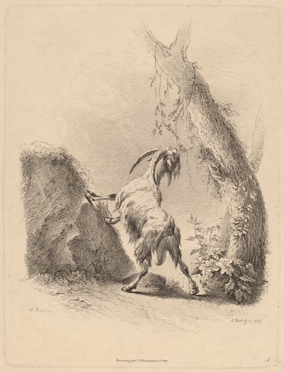 Ged i et landskab, 1805. af Adam von Bartsch