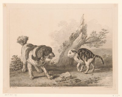 Hund og kat i kampstilling mod hinanden Dyr efter malerier af hollandske mestre (serietitel) Différens animaux graves d