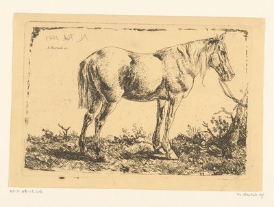 Hest på et træ af Adam von Bartsch