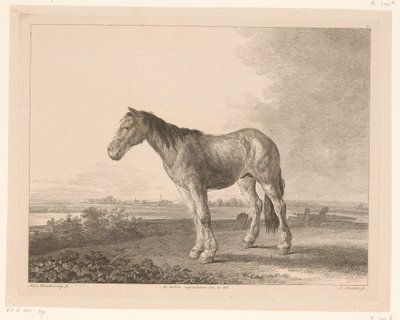 Stående hest i et flodlandskab Dyr efter malerier af hollandske mestre (serietitel) Différens animaux graves d