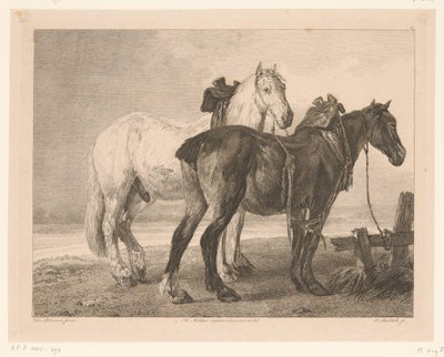 To heste i et flodlandskab Dyr efter malerier af hollandske mestre (serietitel) Différens animaux graves d
