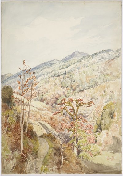 Skovklædte dal - Cuetzalan, Puebla, Mexicanske Golf (akvarel og grafit) af Adela Breton
