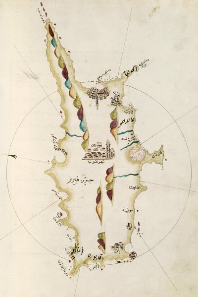 Kort over øen Cypern, illustration fra Portolano-atlas, af admiral Piri Reis (1465-1470 - 1553-1554) af Admiral Piri Reis