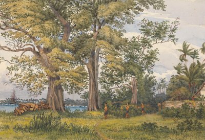 "Apia Bay, Upolu, Navigators Islands, [Samoa] fra verandaen i min sygestue, 6. november 1849 af Admiral Sir Edward Gennys Fanshawe