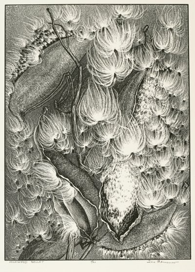 Milkweed Ballet af Adolf Ernst Meissner