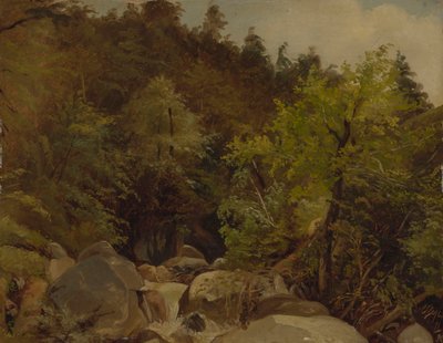 Vandfald nær Ohlstadt af Adolf Heinrich Lier