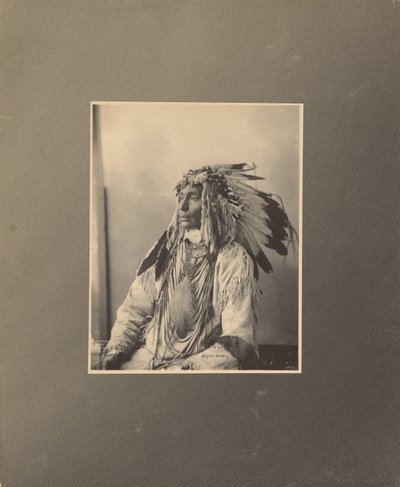 Dræb plettet hest, Assiniboines af Adolph F. Muhr
