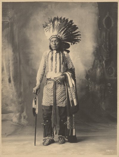 [Indiansk mand] af Adolph F. Muhr