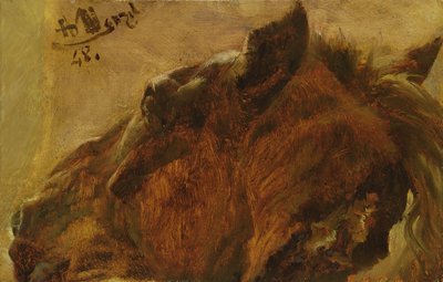 Head of a Dead Horse, 1848 (olie på papir monteret på lærred) af Adolph Menzel