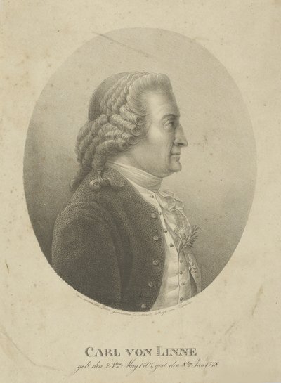 Portræt af Carl Linnaeus 1707-1778, ca. 1800. af Adolph Friedrich Kunike
