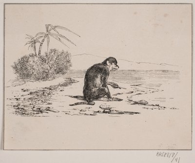 Abekatten af Johan Adolph Kittendorff
