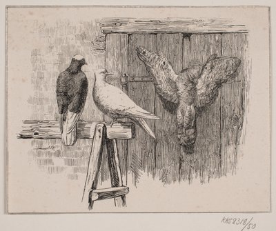 Duerne af Johan Adolph Kittendorff