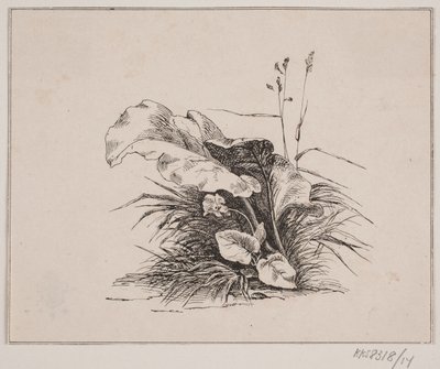 Violinen af Johan Adolph Kittendorff