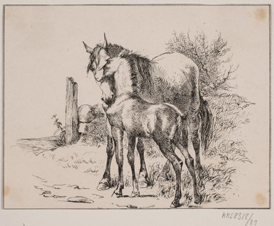 Hesten og føllet af Johan Adolph Kittendorff
