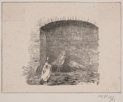 Hønsene og ænderne af Johan Adolph Kittendorff