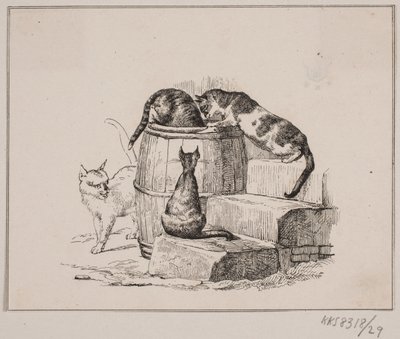 Kattene af Johan Adolph Kittendorff
