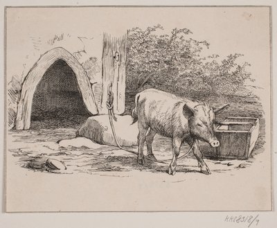 Lænkegrisen af Johan Adolph Kittendorff
