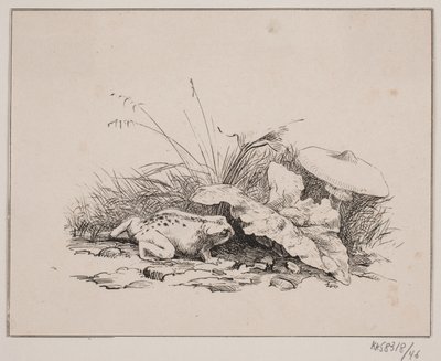 Tudsen af Johan Adolph Kittendorff