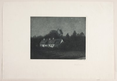 Måneskinsaften i landsbyen Borup af Adolph Larsen