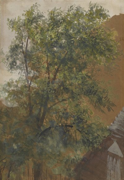 Udsigt fra gårdhavevinduet i hans studie på Marienstraße 22 af Adolph Menzel