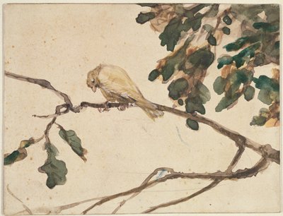 Kanariefugle på en Oak Tree Branch (wc på papir) af Adolph Menzel