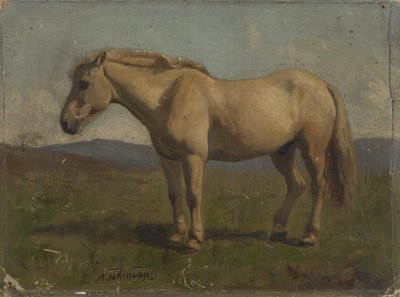  af Adolph Tidemand