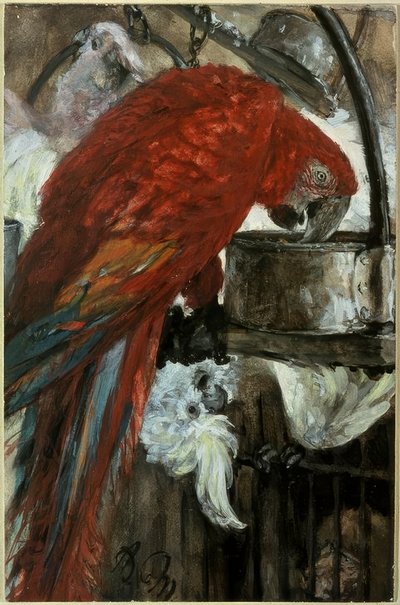 Ara og kakadue af Adolph Menzel
