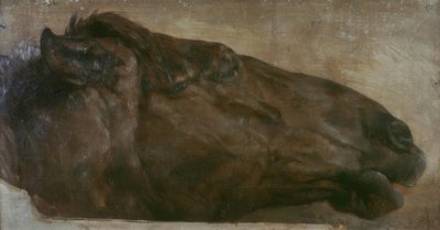 Hestestudie. Hovedet set fra siden til højre af Adolph Menzel