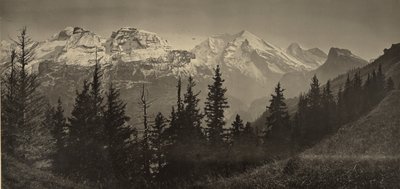 [Alpelandskab] af Adolphe Braun