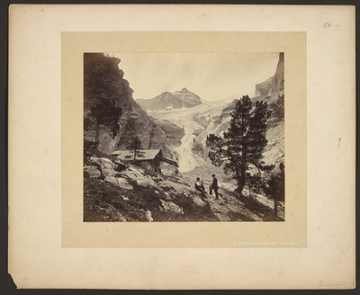 [Udsigt over Alperne fra Faulhorn] af Adolphe Braun