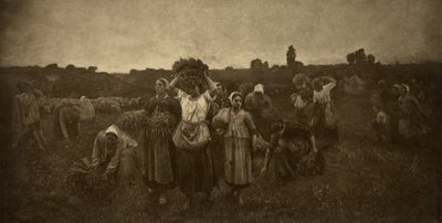 Tilkaldelse af kornetterne af Adolphe Braun