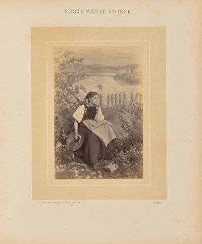 Kanton Schaffhausen af Adolphe Braun