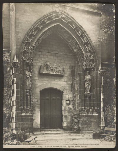 Cluney af Adolphe Braun