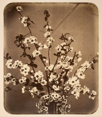 Blomstret stilleben af Adolphe Braun