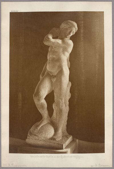 Firenze: Michelangelos ufærdige Apollo i Galleria degli Uffizi af Adolphe Braun