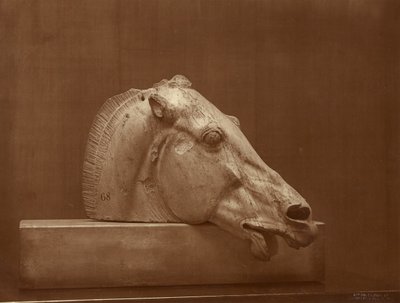 [Hestehoved fra Parthenons fronton, British Museum] af Adolphe Braun
