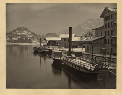 Dampskibe på vinteropligging, Schweiz af Adolphe Braun