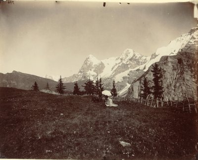 Landskab, Schweiz, ca. 1860. af Adolphe Braun