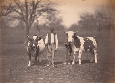 Landskab, ca. 1864 (foto) af Adolphe Braun