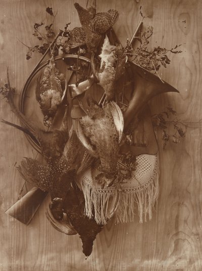 Fasan og Ryper, ca. 1865. af Adolphe Braun