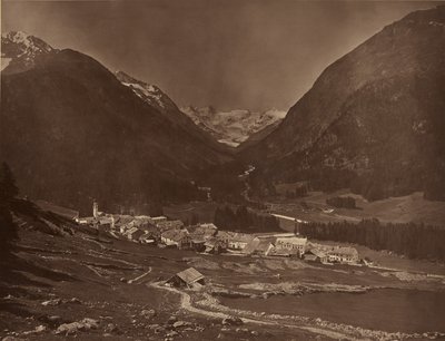 Pontresina af Adolphe Braun