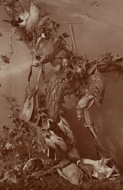 [Still Life: Dead Game] af Adolphe Braun