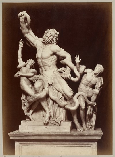 Laokoon i Vatikanmuseet af Adolphe Braun