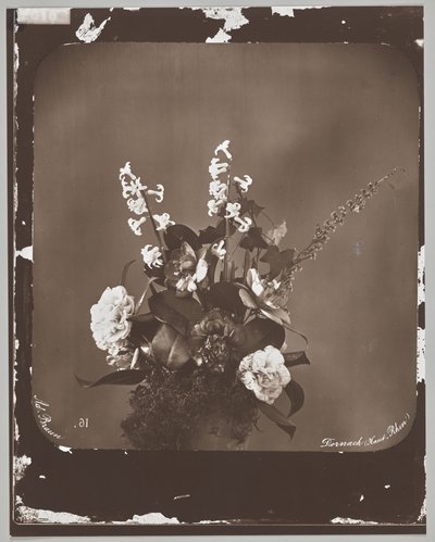 Uden titel (blomsterarrangement) af Adolphe Braun