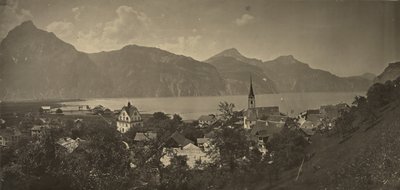 Udsigt over Flüelen, Schweiz af Adolphe Braun