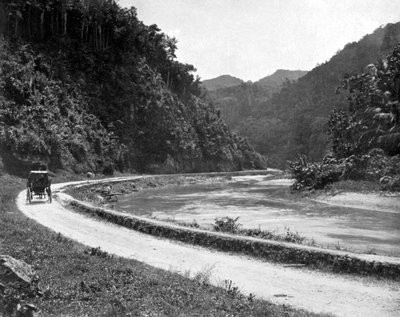 Road to Bog Walk, Jamaica, c1905. af Adolphe Duperly and Son
