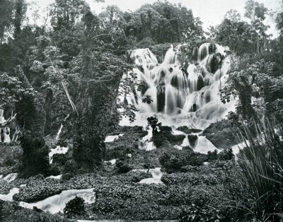Roaring River Falls, Jamaica, c1905. af Adolphe Duperly and Son