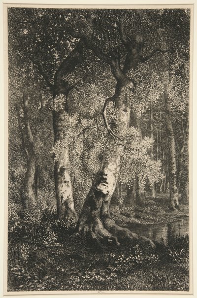 Bøgene af Adolphe Martial Potemont