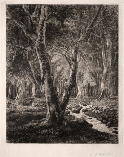 Pierrefonds Skov af Adolphe Théodore Jules Martial Potémont